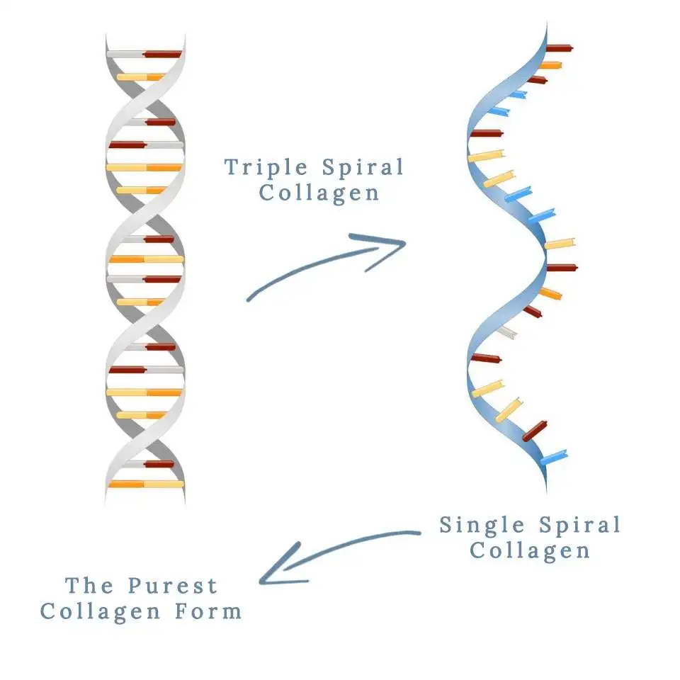 marine collagen serum spirals